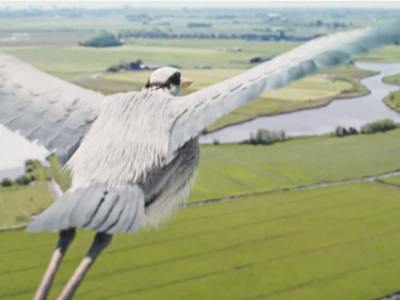 Antea Group commercial 2019